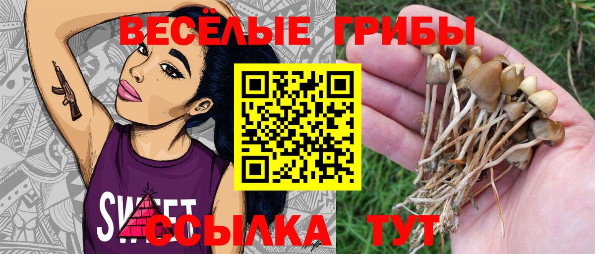 Галлюциногенные грибы Magic Shrooms  Псилоцибиновые грибы Psilocybe  Вход с VPN  Чусовой 